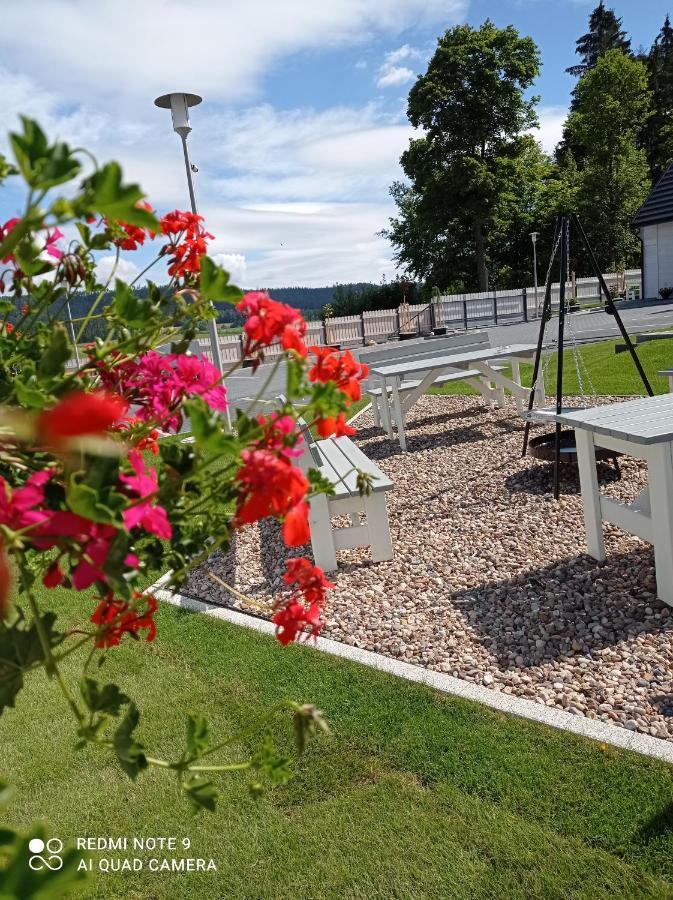 Caloroczny Osrodek Wypoczynkowy Comfort House Villa Duszniki Zdrój Dış mekan fotoğraf